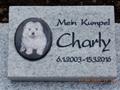 index.html